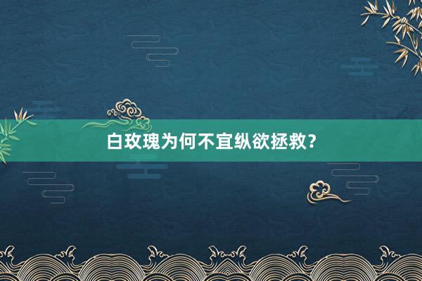 白玫瑰为何不宜纵欲拯救？