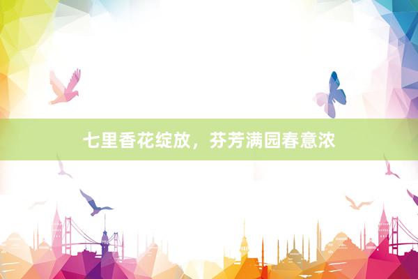 七里香花绽放，芬芳满园春意浓